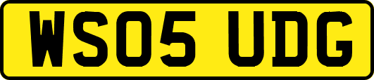 WS05UDG