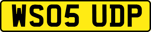 WS05UDP