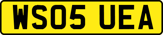 WS05UEA
