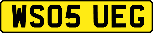 WS05UEG