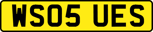 WS05UES