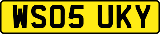 WS05UKY
