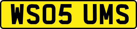 WS05UMS