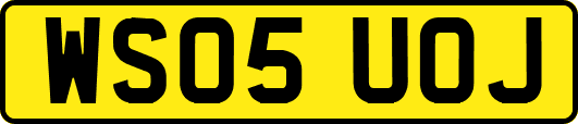 WS05UOJ