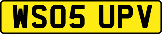 WS05UPV
