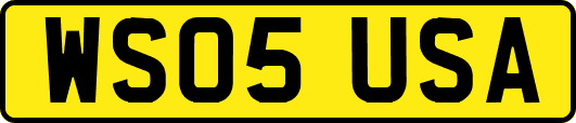 WS05USA