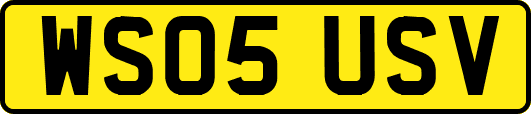 WS05USV