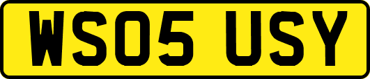 WS05USY