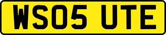 WS05UTE