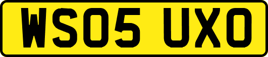 WS05UXO
