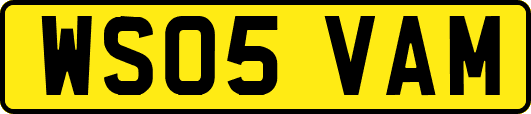 WS05VAM