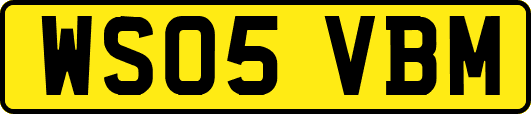 WS05VBM
