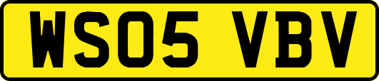 WS05VBV