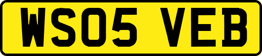 WS05VEB