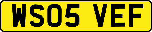 WS05VEF