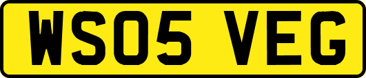 WS05VEG