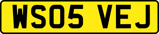 WS05VEJ