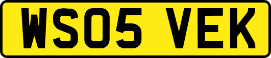 WS05VEK