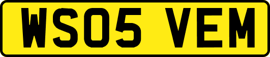 WS05VEM