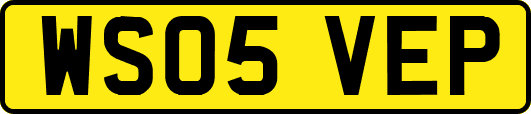 WS05VEP