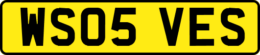 WS05VES