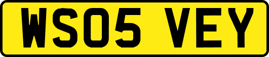 WS05VEY