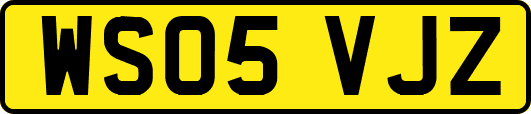 WS05VJZ