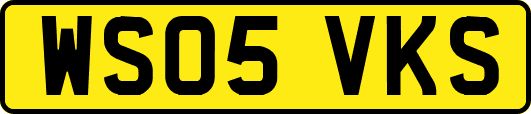 WS05VKS