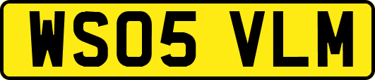 WS05VLM