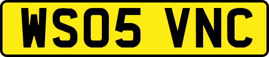 WS05VNC