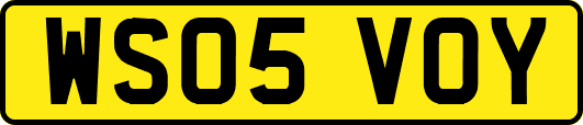 WS05VOY