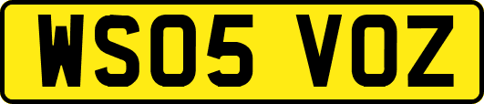 WS05VOZ