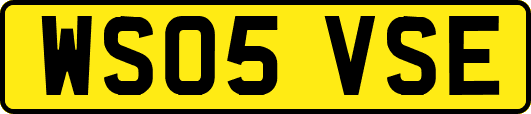 WS05VSE