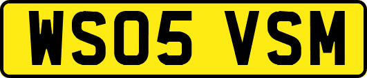 WS05VSM