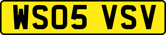 WS05VSV