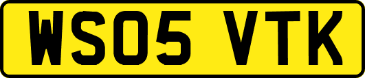 WS05VTK