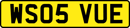 WS05VUE