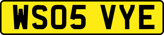 WS05VYE