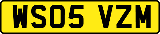 WS05VZM