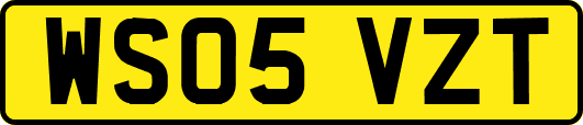 WS05VZT