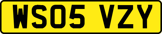 WS05VZY