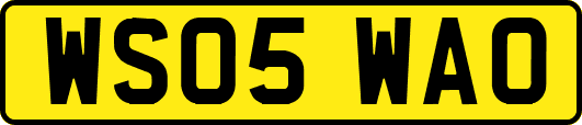 WS05WAO