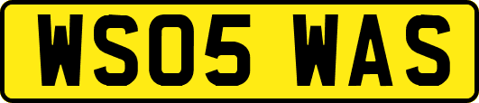 WS05WAS