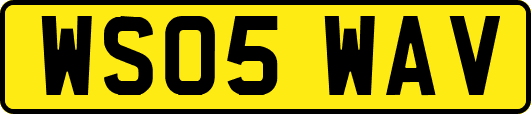WS05WAV