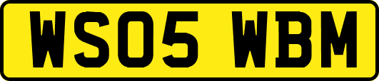 WS05WBM