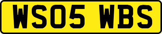 WS05WBS