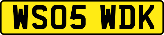 WS05WDK