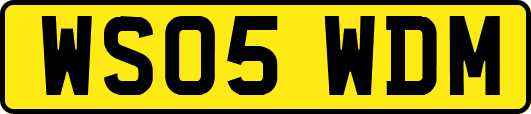 WS05WDM