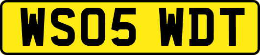 WS05WDT