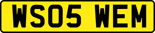 WS05WEM